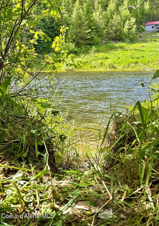 Picture 41
