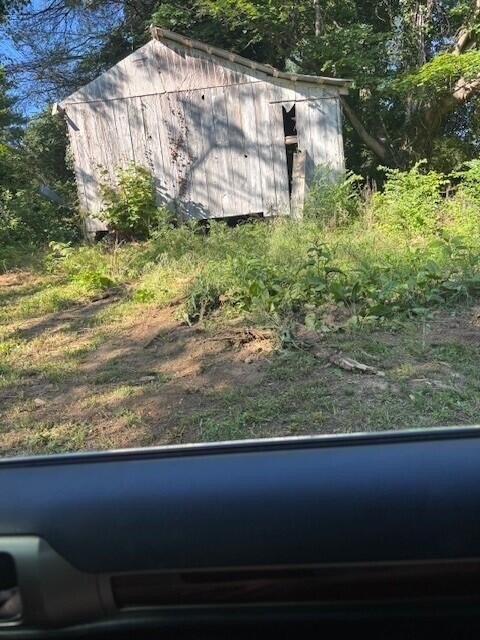 Picture 5