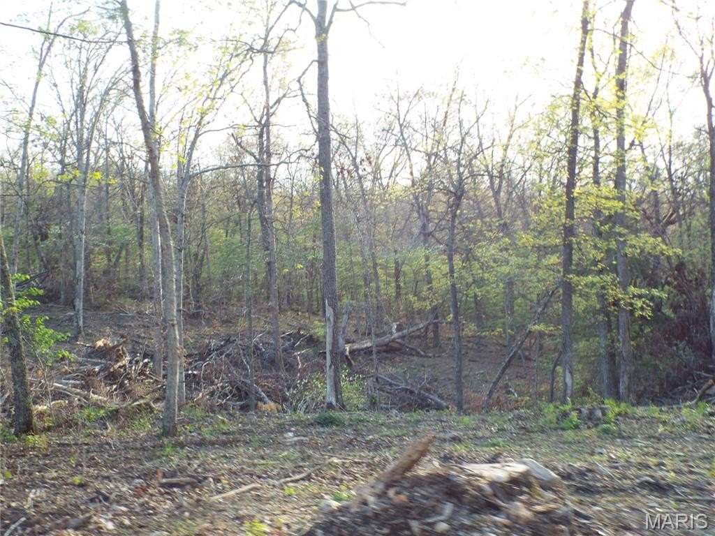 Picture 8