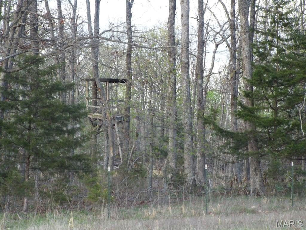 Picture 44