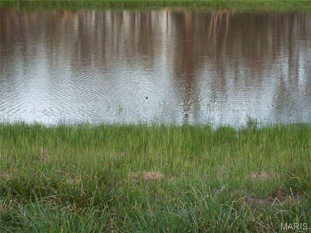 Picture 35