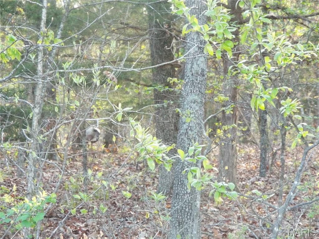 Picture 12