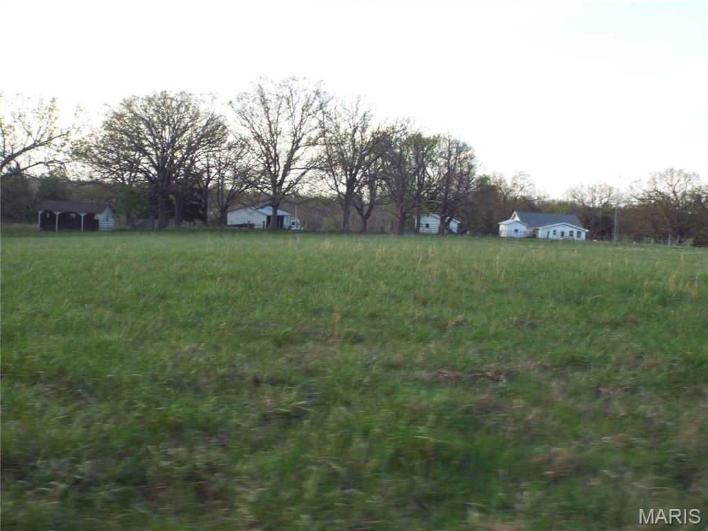 Picture 51