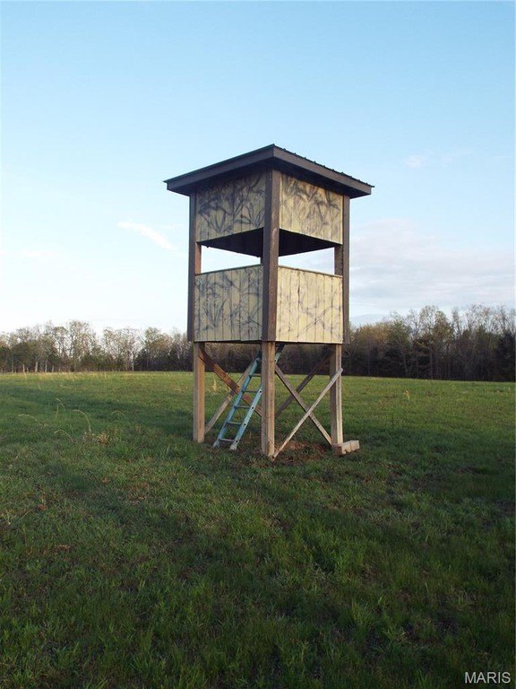 Picture 3