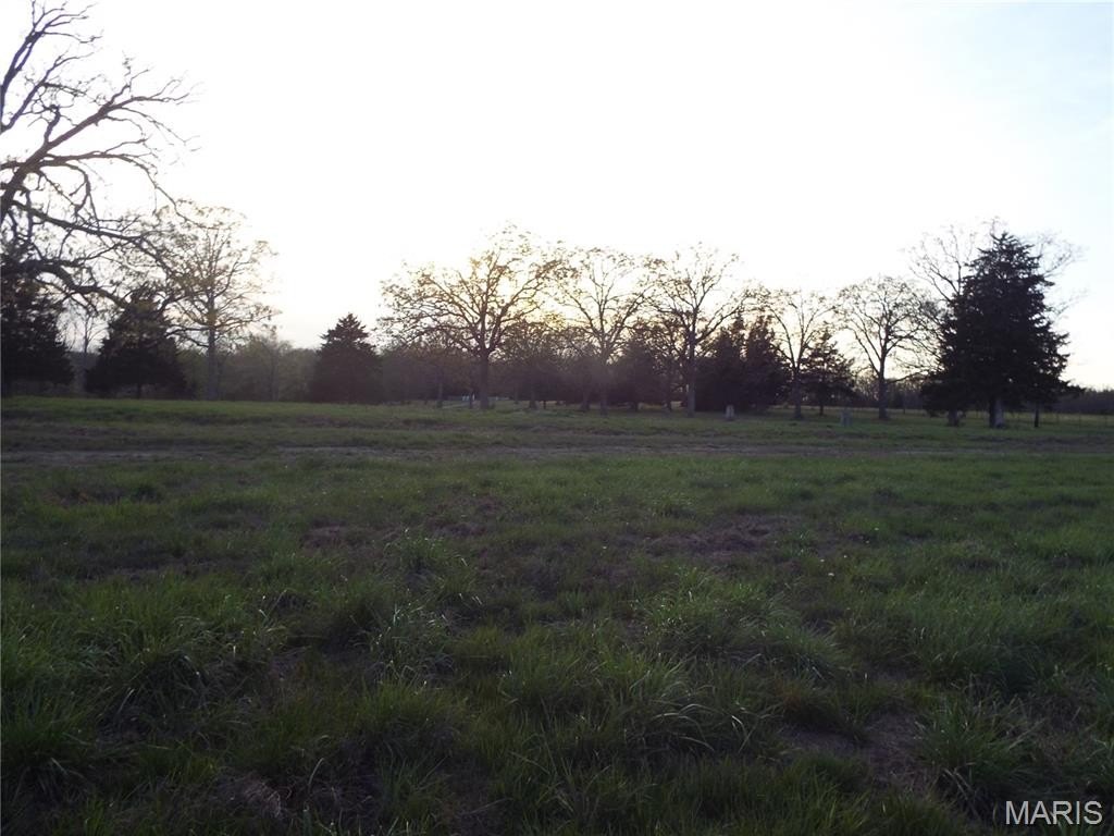 Picture 42