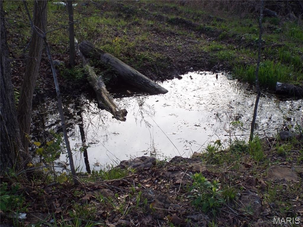 Picture 56