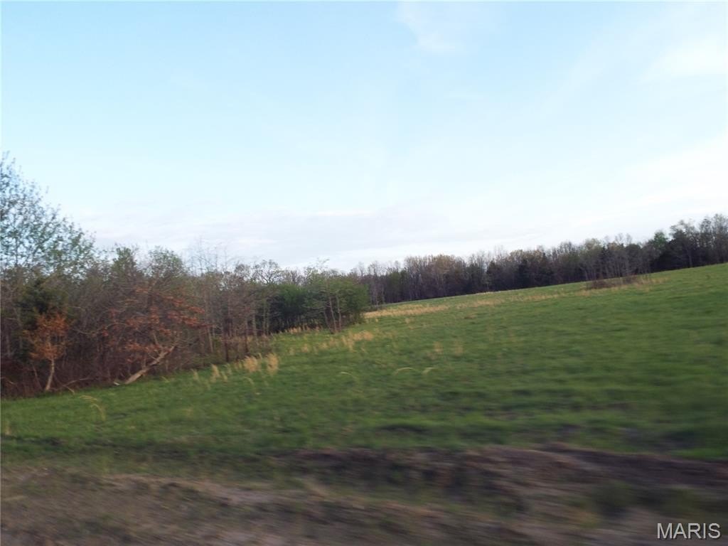 Picture 29