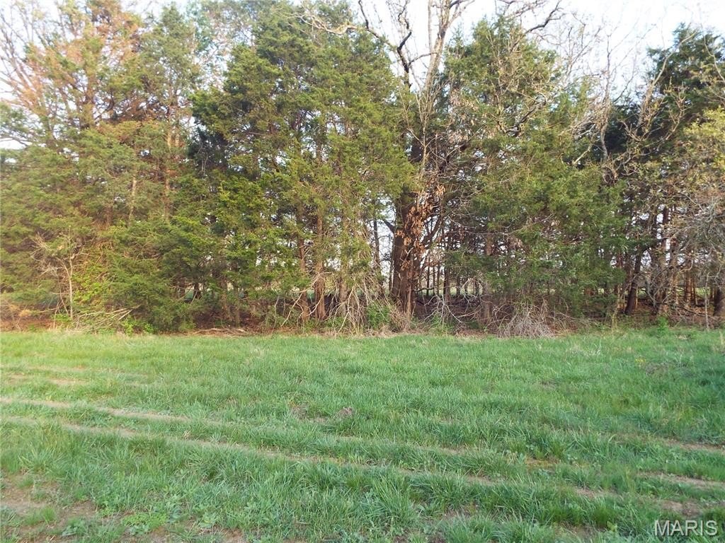 Picture 23