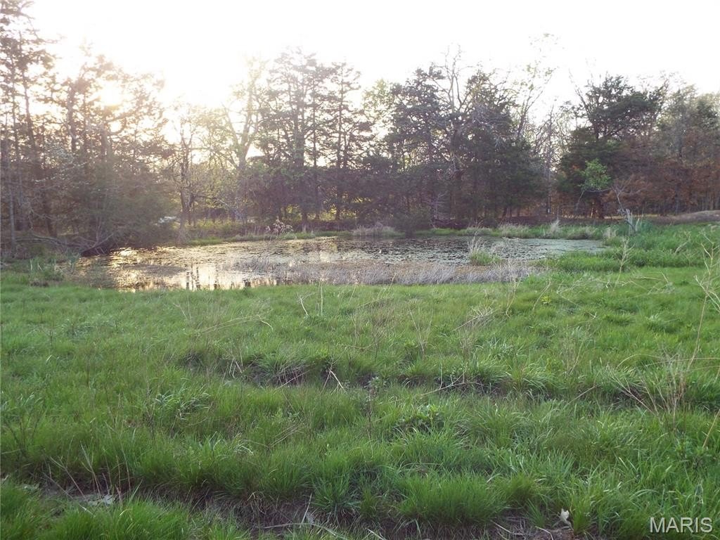 Picture 22