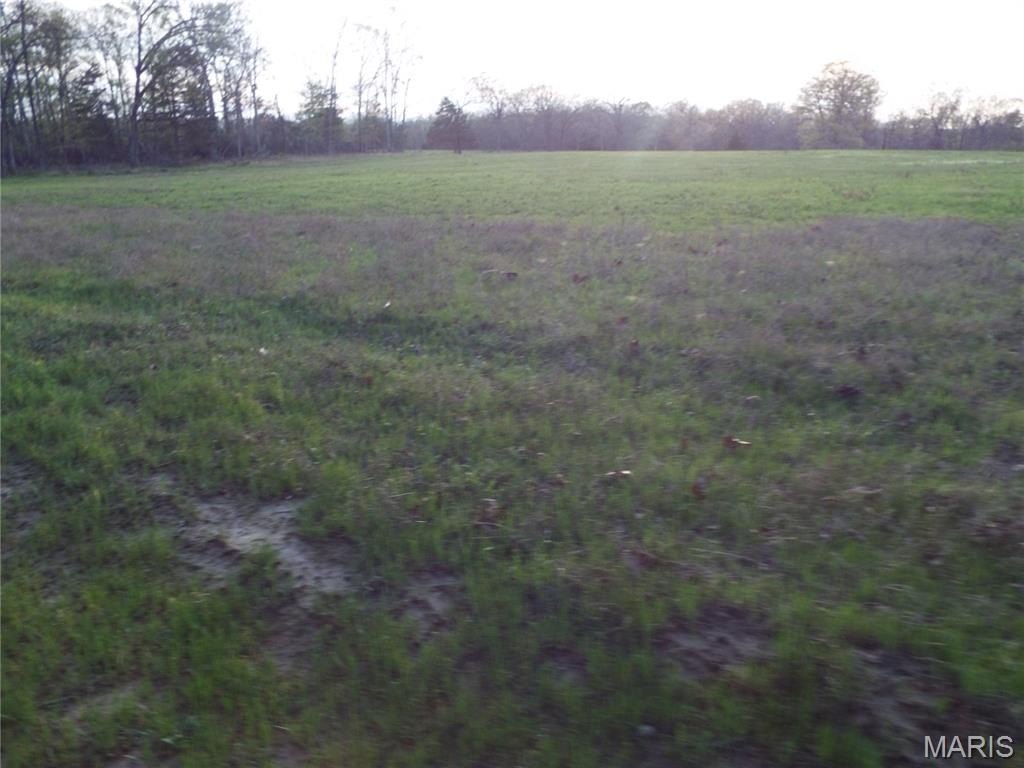 Picture 31