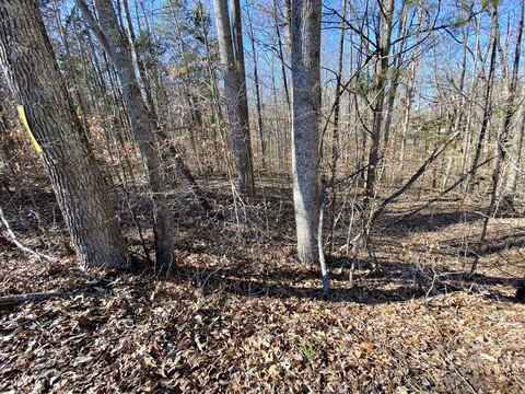 Residential Land in Cadiz, KY