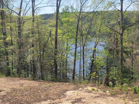 Unrestricted Waterfront Land on Smith Lake