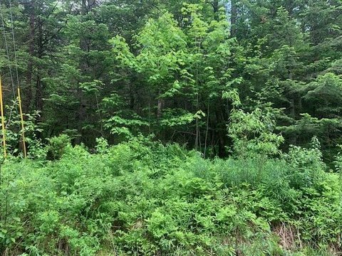 LAND - Stewartstown, NH