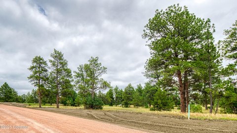 Land, Pine Haven, WY
