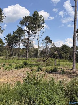 Land, Centre, AL