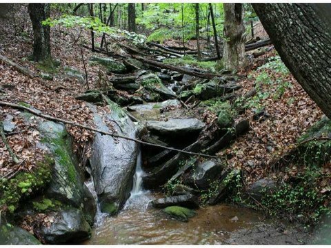 Mountain Stream Double Lot