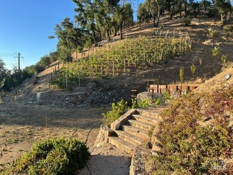 Land, St. Helena, CA