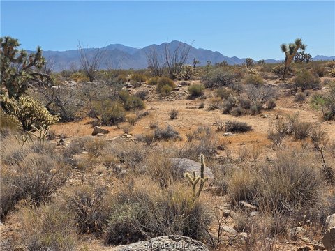LAND - Yucca, AZ