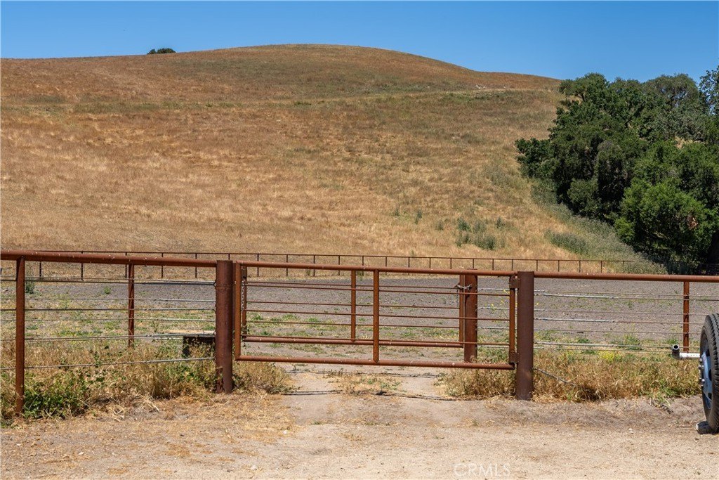 Picture 32