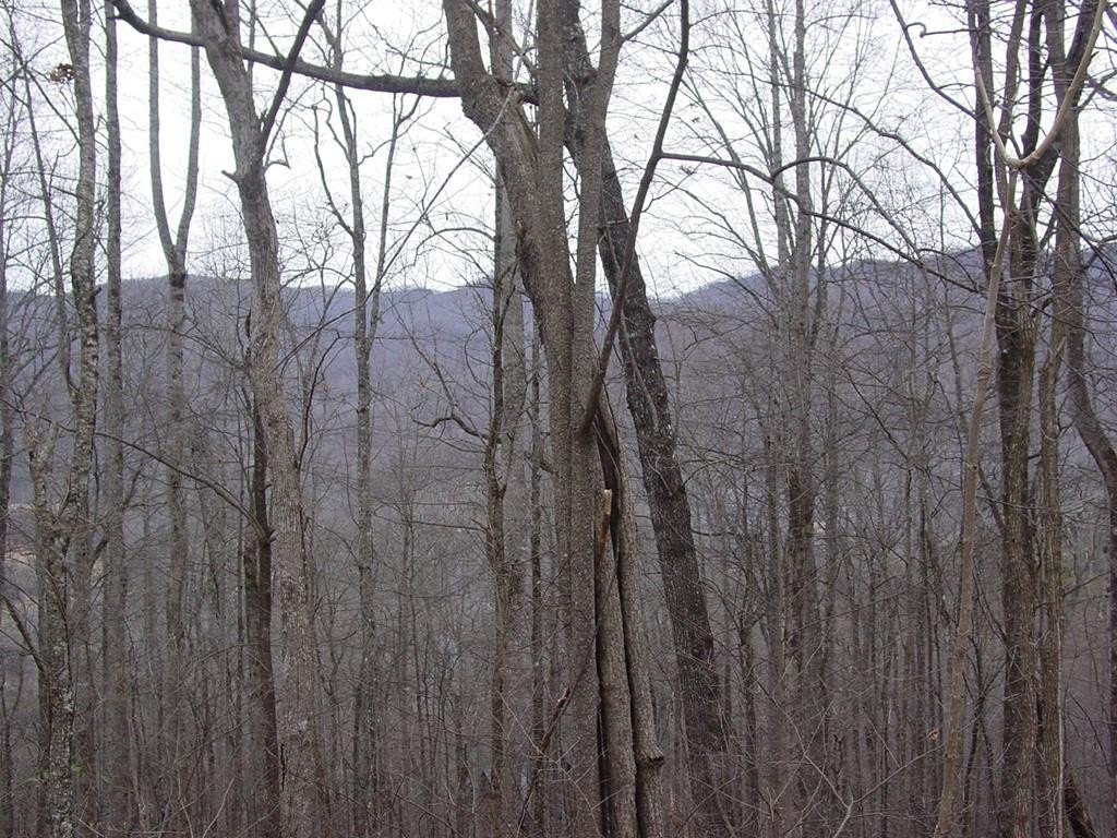 Hiawassee Vacant Lot with Views