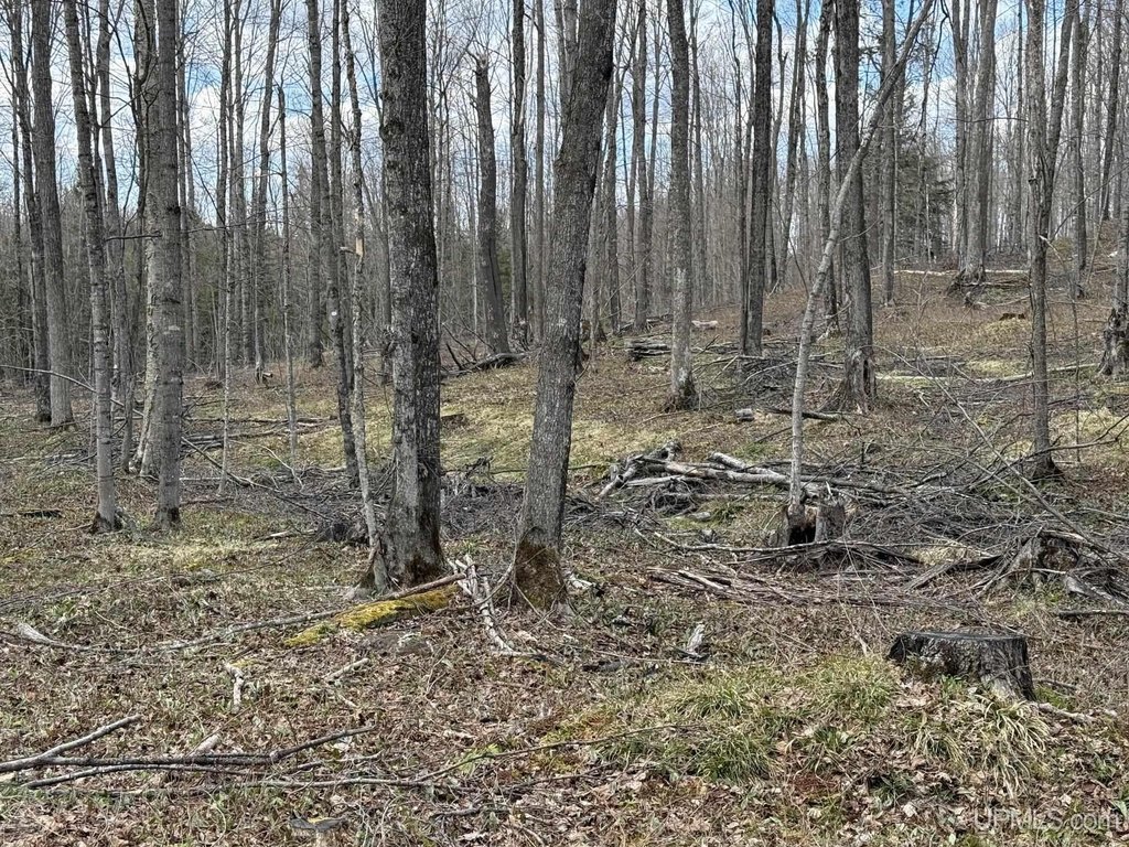 Picture 20