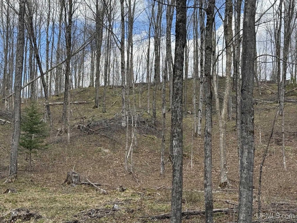 Picture 19