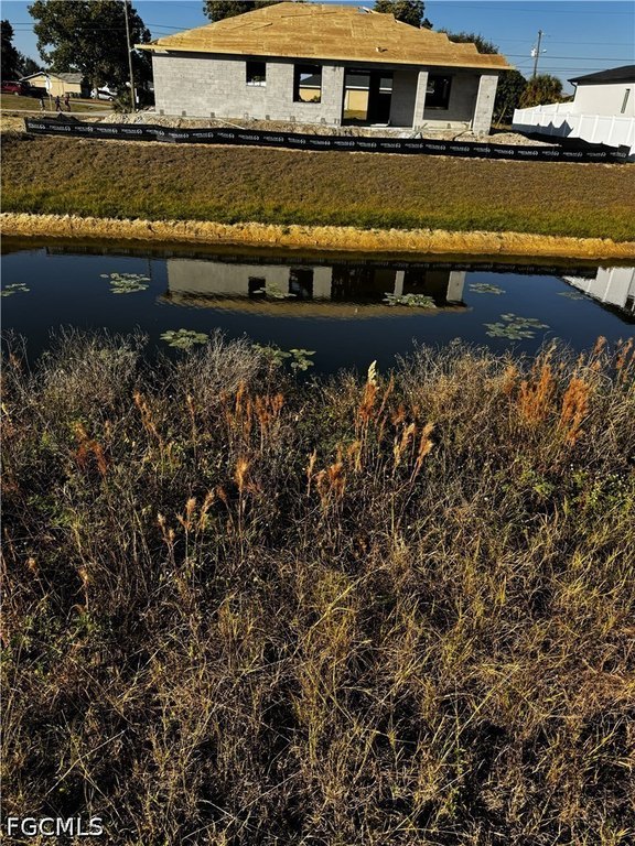 Picture 5