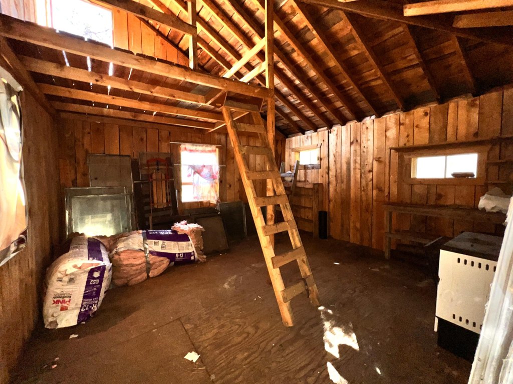 Picture 13