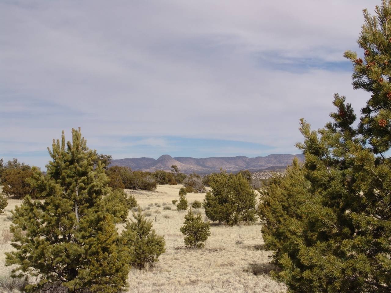 20 Acres Vacant Land