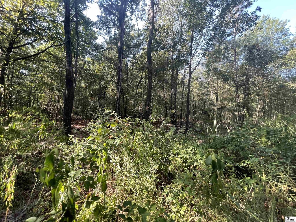 Picture 22