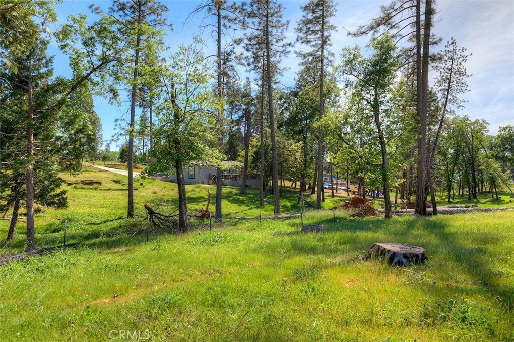 Magalia Vacant Lot Opportunity