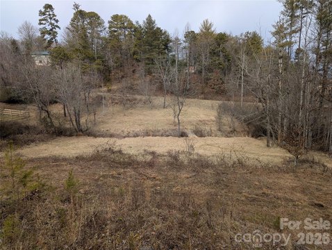 Residential Land in Leicester, NC