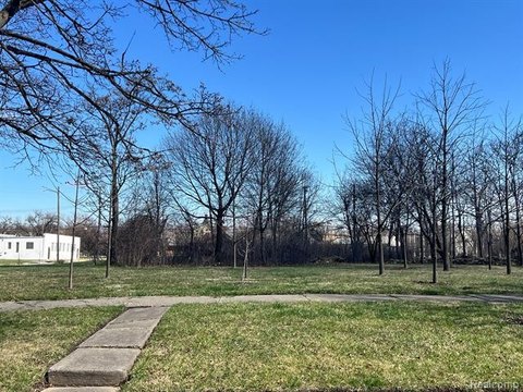 Residential Land in Growing Detroit