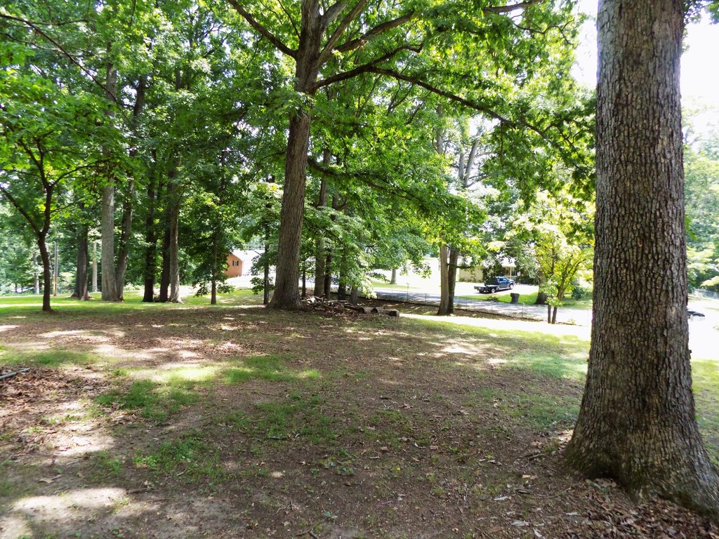 Picture 17
