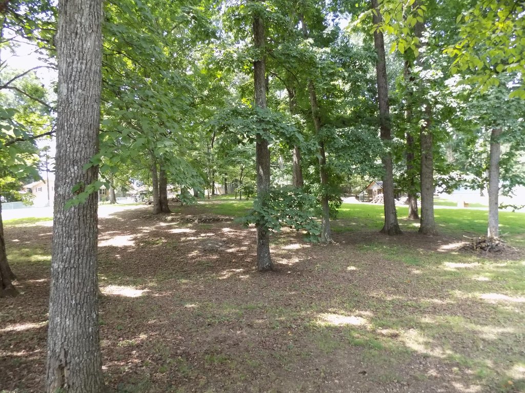 Picture 18
