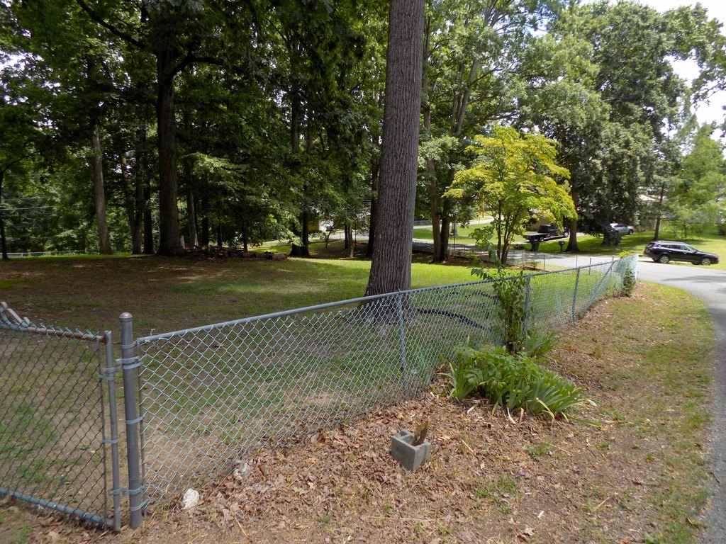Picture 13