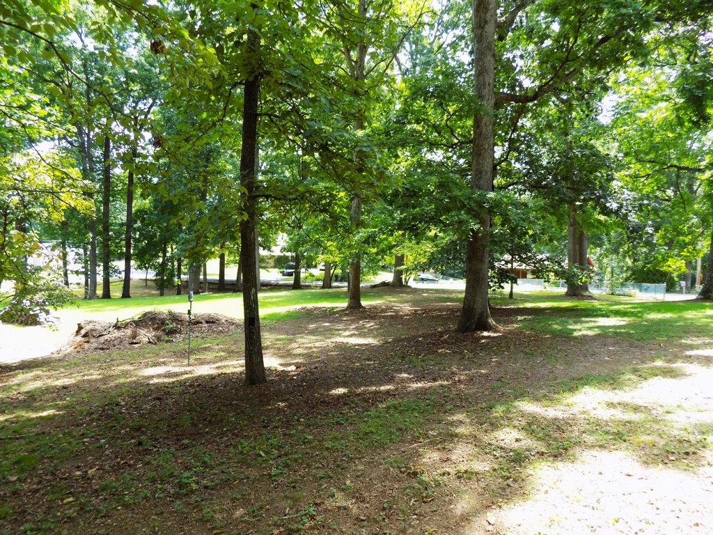 Picture 9