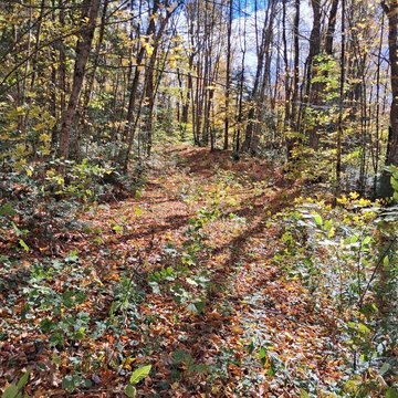 Wooded Recreation Land