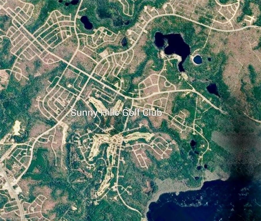Picture 3