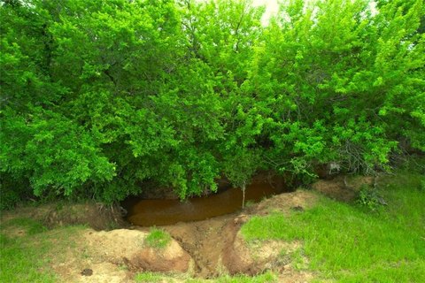 Nocona Land with Hunting Potential