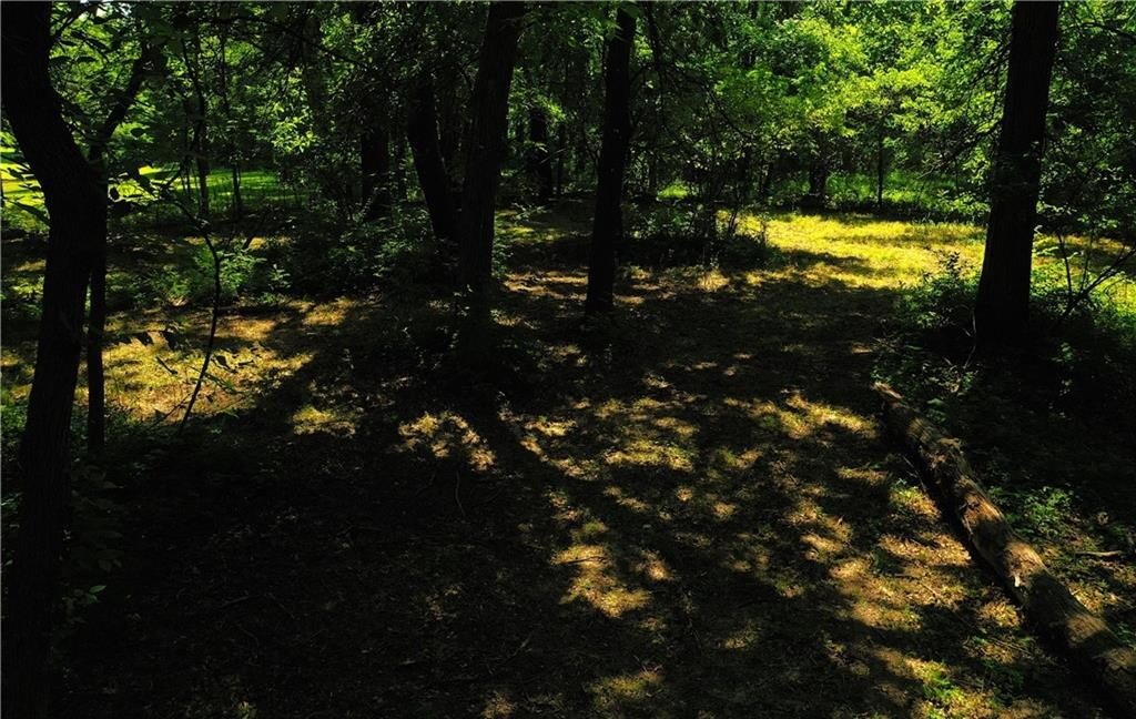 Picture 15