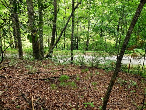 Hiawassee Acreage with Mountain Views