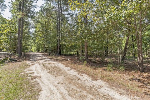 Vacant Land - Springlake, NC