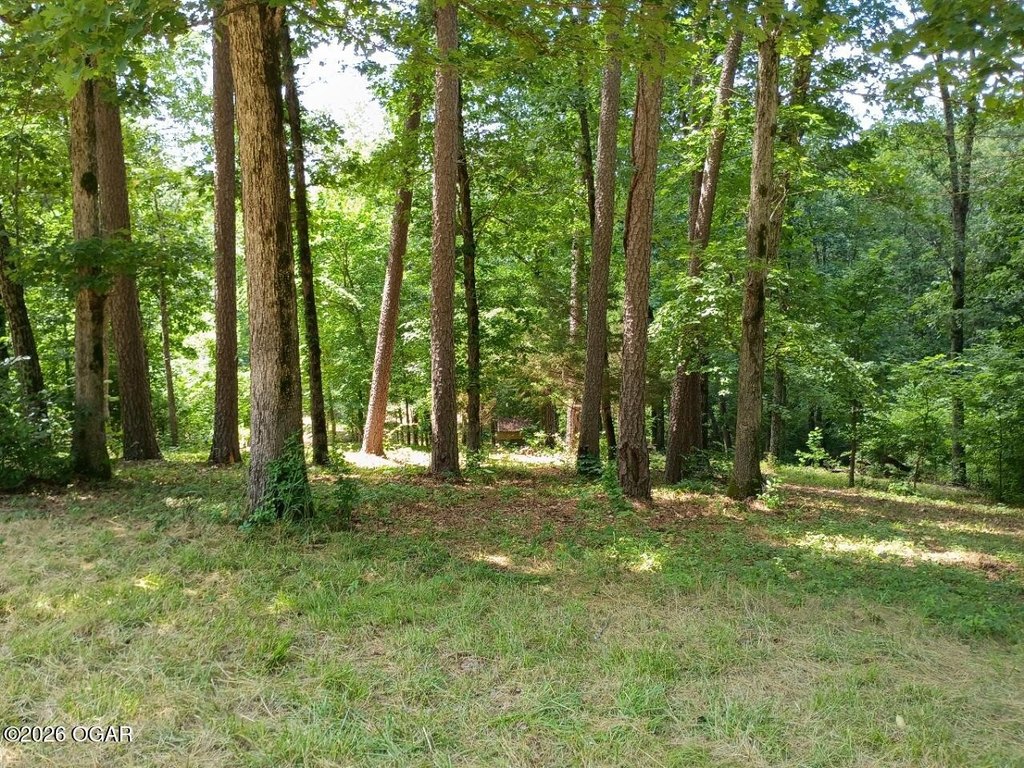 Picture 4