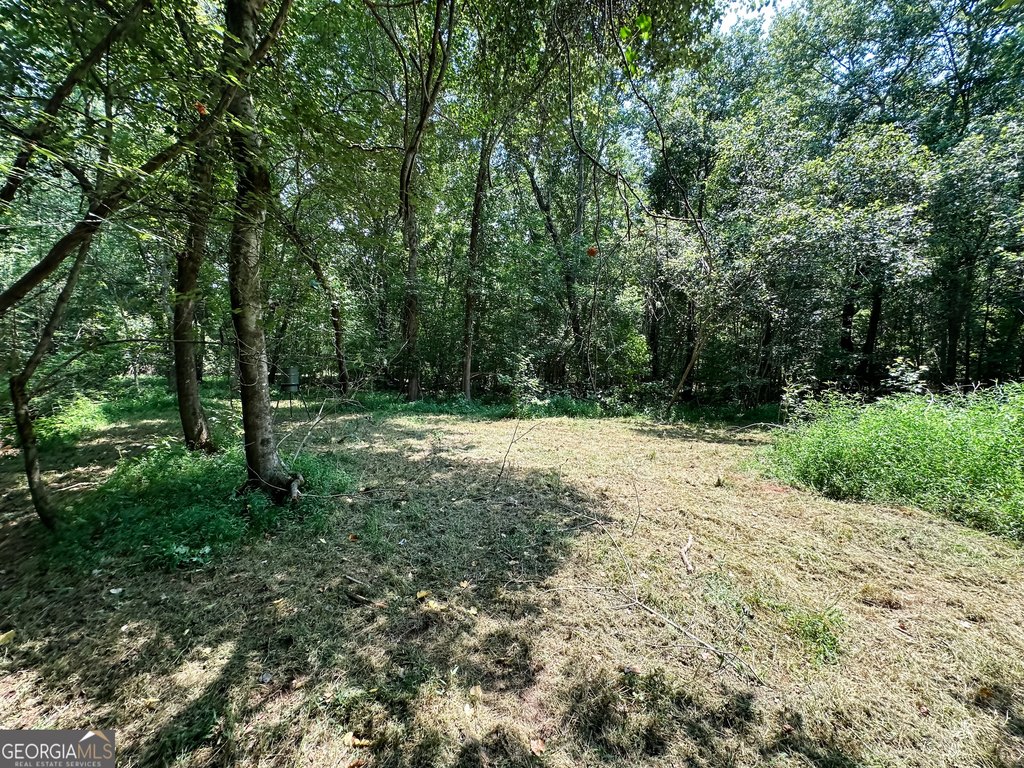 Picture 36