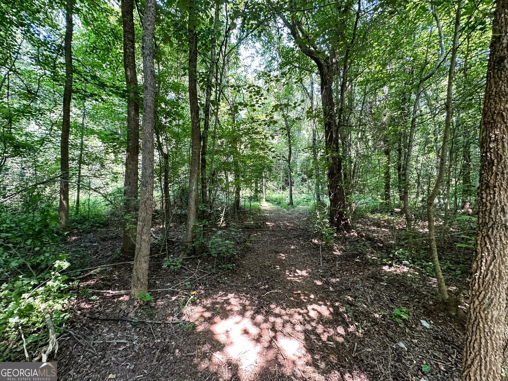Picture 29