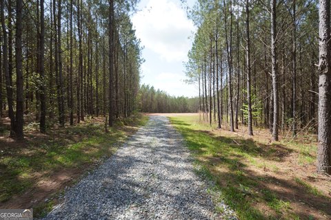 LAND - Monticello, GA