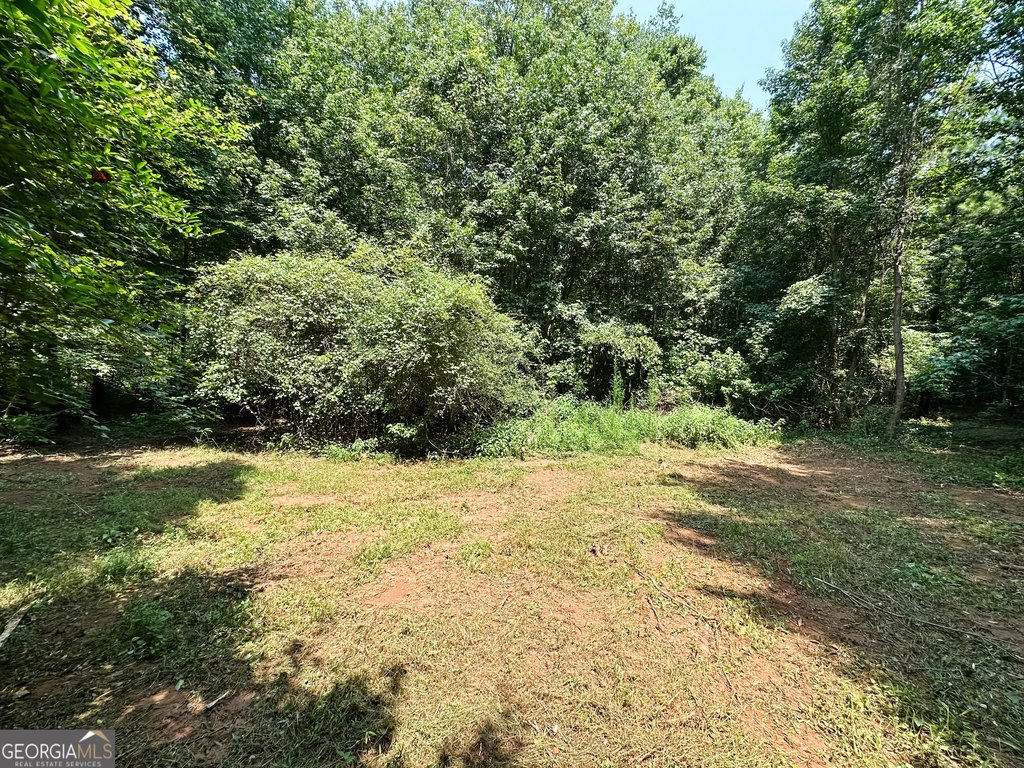 Picture 28