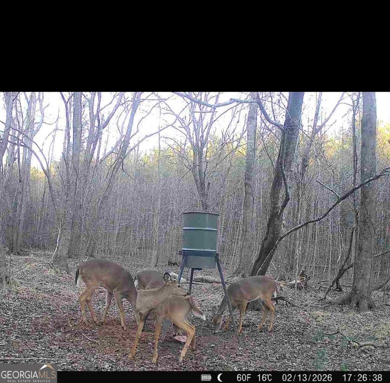 Picture 14
