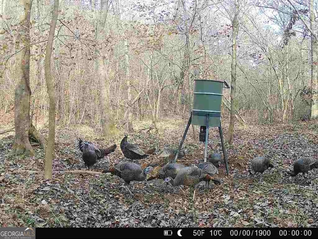 Picture 15